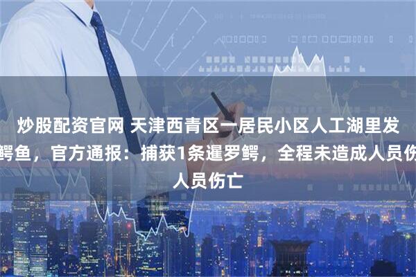炒股配资官网 天津西青区一居民小区人工湖里发现鳄鱼，官方通报：捕获1条暹罗鳄，全程未造成人员伤亡
